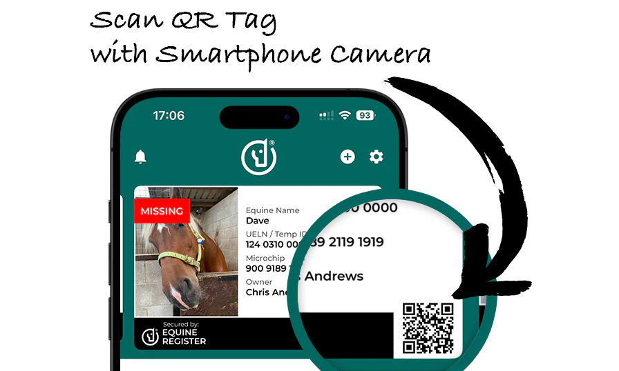 Horse ID Tag Example