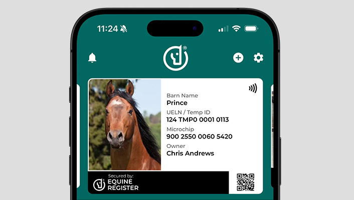 FREE American Horse Passport ID and Registration